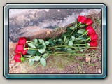 harper_memorial-10