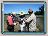 img_1131