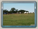 img_1140