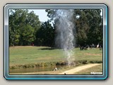 img_1201