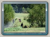 img_1218