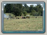 img_1242
