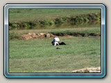 img_1259