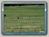img_1265