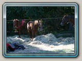 img_1280
