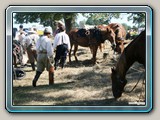 img_1283