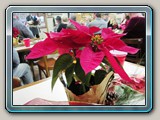 christmas1440