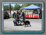 IMG_3360 (1)