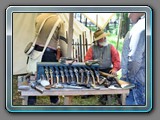 IMG_3402