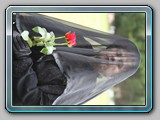 IMG_3686