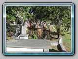 09 IMG_3108