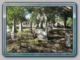 15 IMG_3119