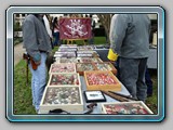 IMG_4427