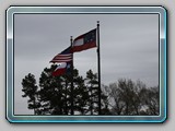 IMG_4546