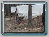 IMG_4551