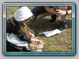 IMG_4968