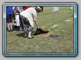 IMG_4993