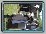 IMG_5208 1