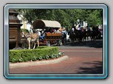 IMG_5250