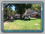 IMG_4341