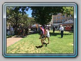 IMG_4345
