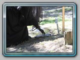 IMG_5551