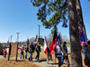 Confederate Flag Day