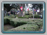 IMG_5904