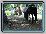IMG_6142