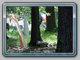 IMG_6152