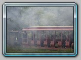 IMG_6416