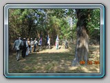 Brannan Cemetery 2019 047
