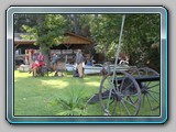 IMG_8853