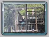 IMG_8948