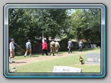 IMG_8972