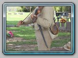 IMG_8986