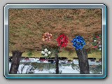 IMG_20221029_121557352_HDR